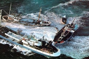 ALMIRANTE GONI
