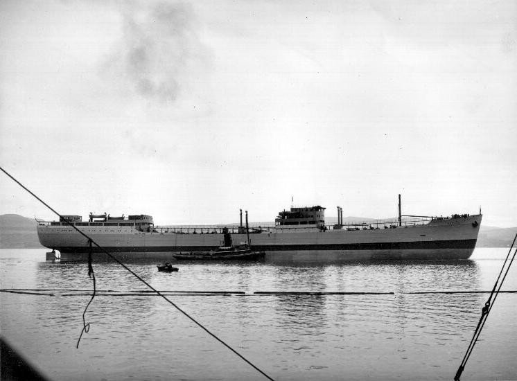 BENGUELA (II)
