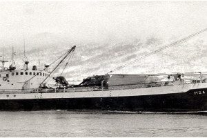 SETTER I