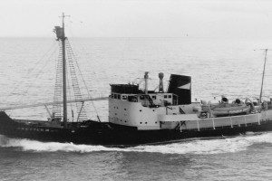 SETTER III
