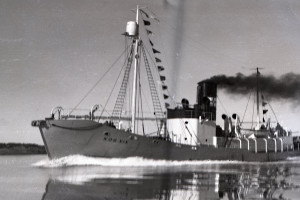 KOS XIX