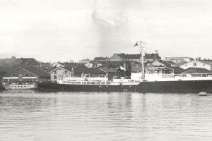 TERJE XI