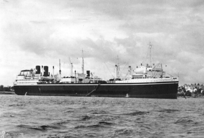 BALAENA