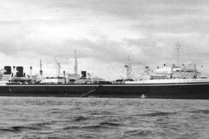 BALAENA