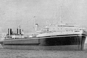 BALAENA