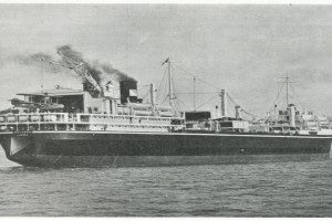 BALAENA