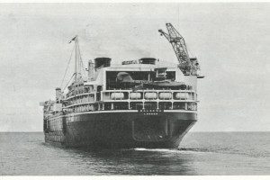 BALAENA