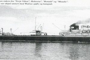 BALAENA