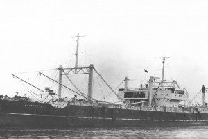 ANTARCTIC (II)