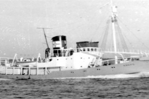 KREPS (II)