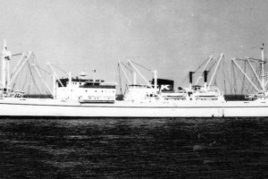 WYVERN (II)
