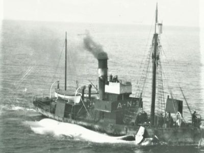 A-N 3 (EX ARPON)