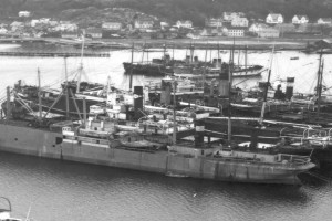 SVEND FOYN I