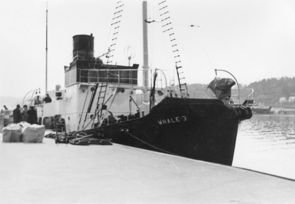 BUSEN 4 (I)