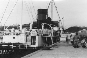 BUSEN 4 (I)
