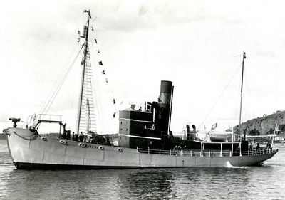 BUSEN 6 (I)
