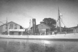 VIKING 1