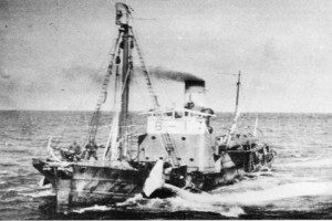 BOUVET 1