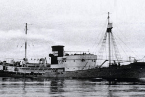 KOS 28 (II)