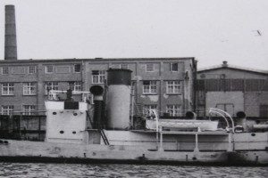SOUTHERN STAR