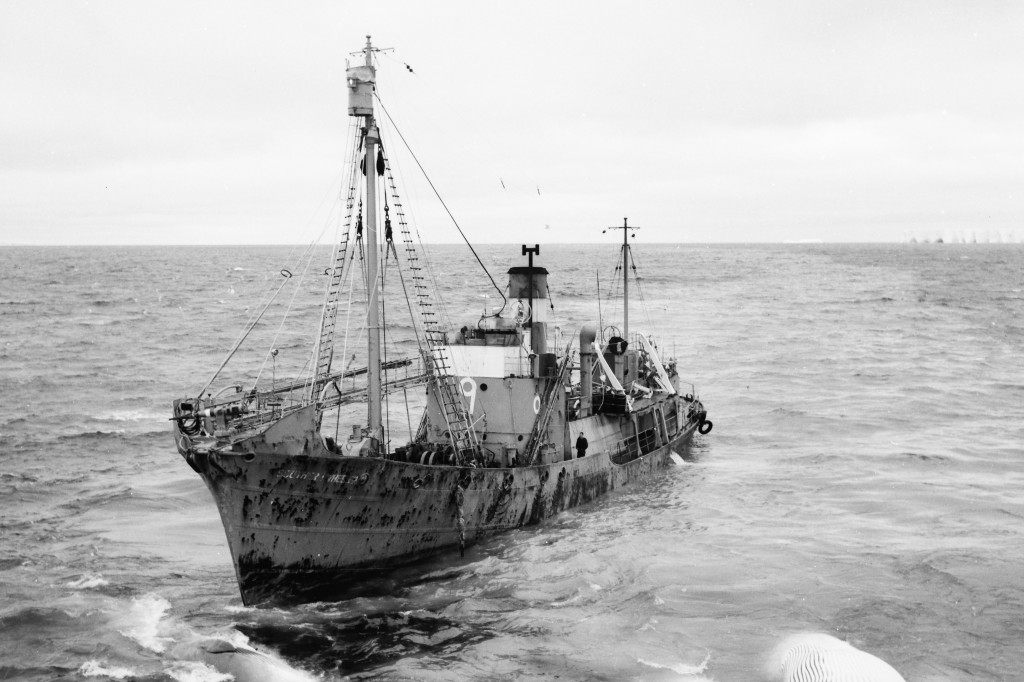 SOUTHERN WHEELER