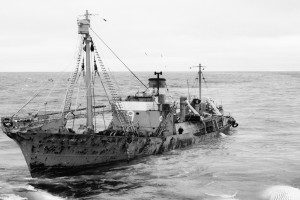 SOUTHERN WHEELER