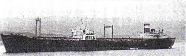 SOUTHERN COLLINS