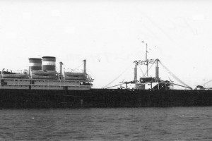 SOUTHERN HARVESTER