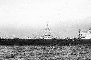 SOUTHERN HARVESTER