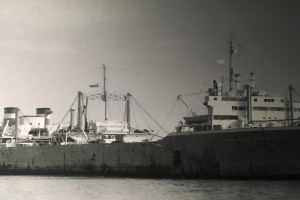 SOUTHERN HARVESTER