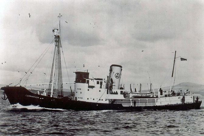SOUTHERN BOXER som CARNARVON