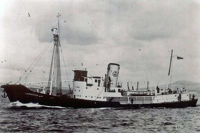 SOUTHERN BOXER som CARNARVON