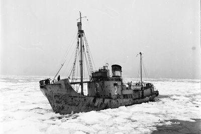 SOUTHERN SPRINGER