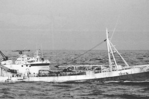 KOS 37