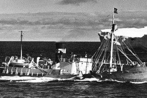 KOS 38