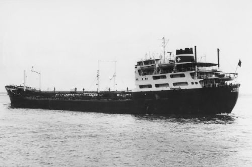 HUSVIK