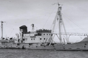 MILLIAM KIHL