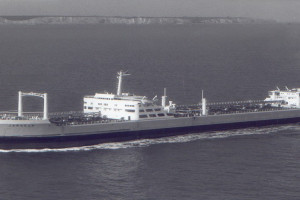 JARAGUA