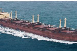 JARILLA (II)