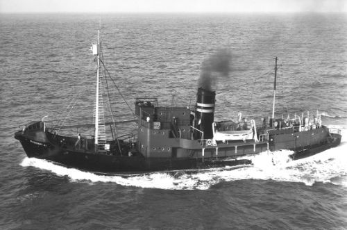 SUDERØY XI