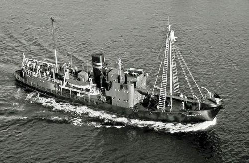 SUDERØY XII