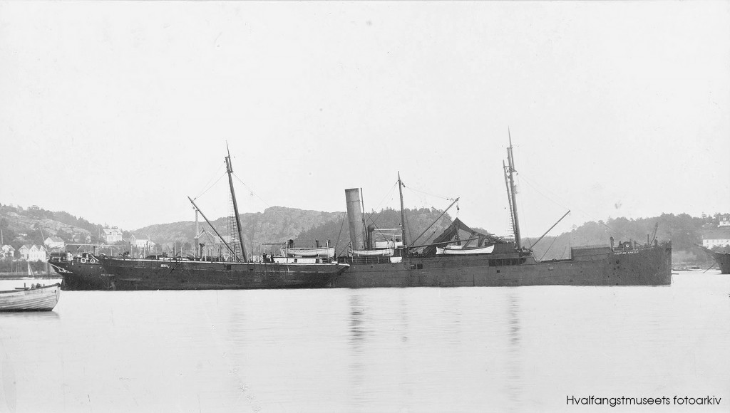 FRIDJOF NANSEN II