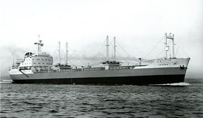 JAVARA (I)