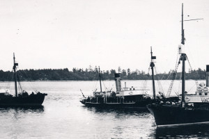 STAR II