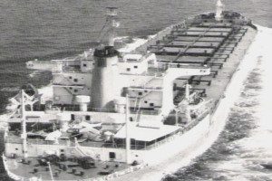 JARACONDA (II)