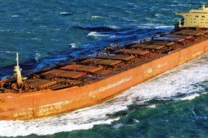 JARACONDA (II)