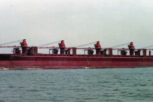 JAVARA