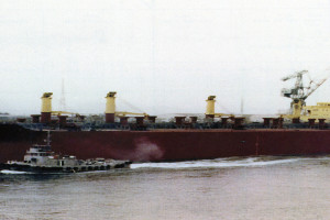 JARILLA