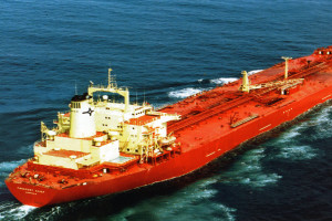 FREEPORT CHIEF