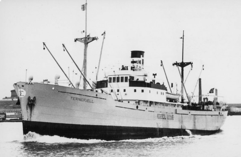 TERNEFJELL